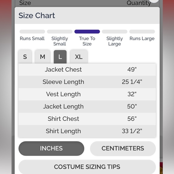 Hagrid costume and beard/wig - Picture 2 of 3